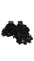 Laos Curly